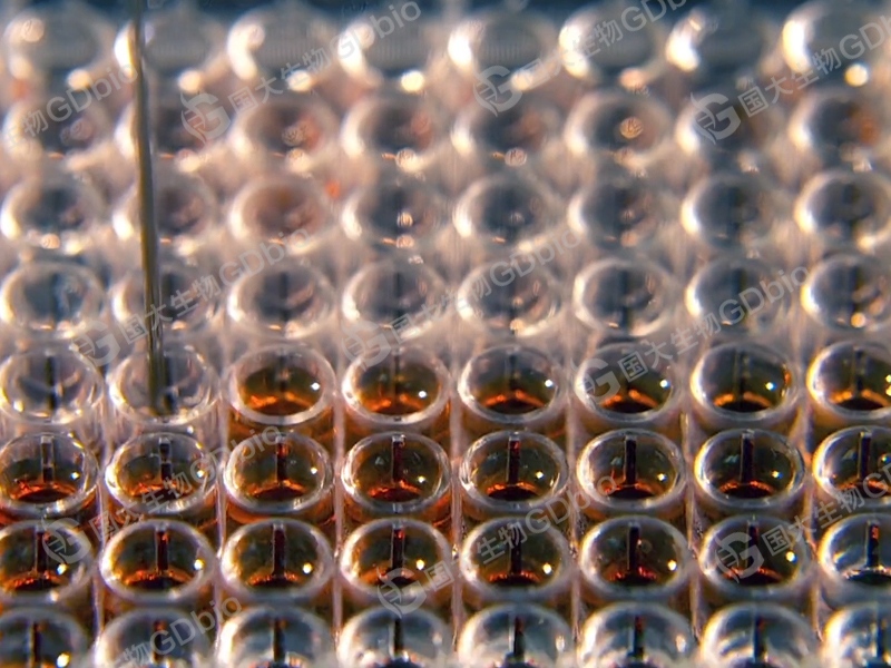 國大生物實驗室三800.jpg